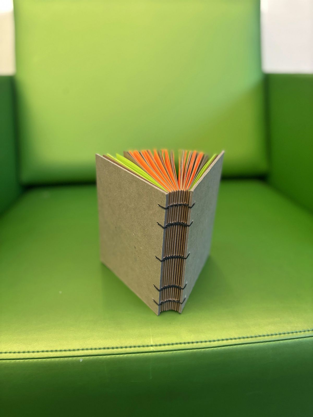 Community Binding - Albany Park Branch Library