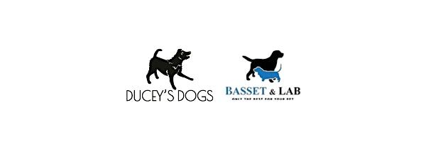Pack Walk in the Park with Ducey's Dogs and Basset & Lab