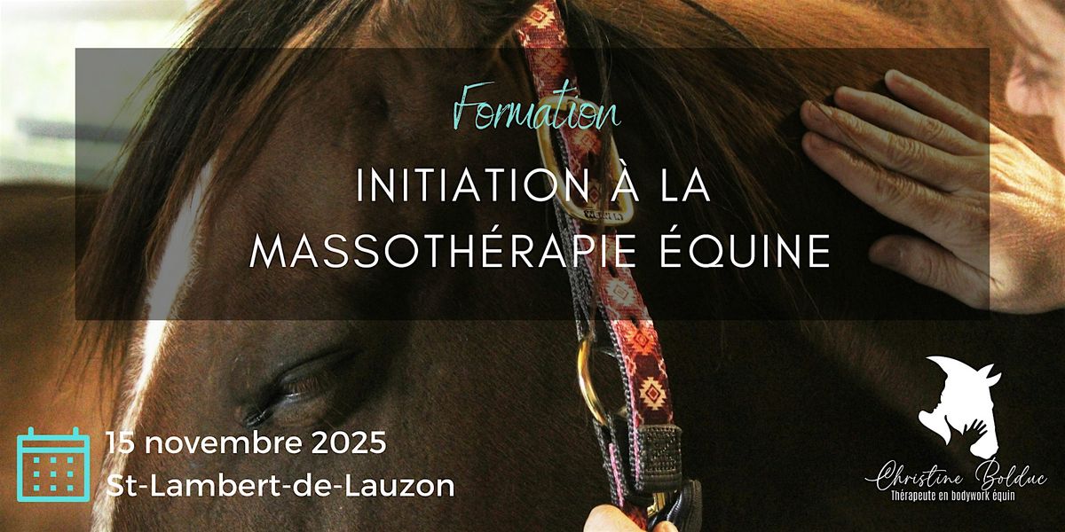 Initiation \u00e0 la massoth\u00e9rapie \u00e9quine