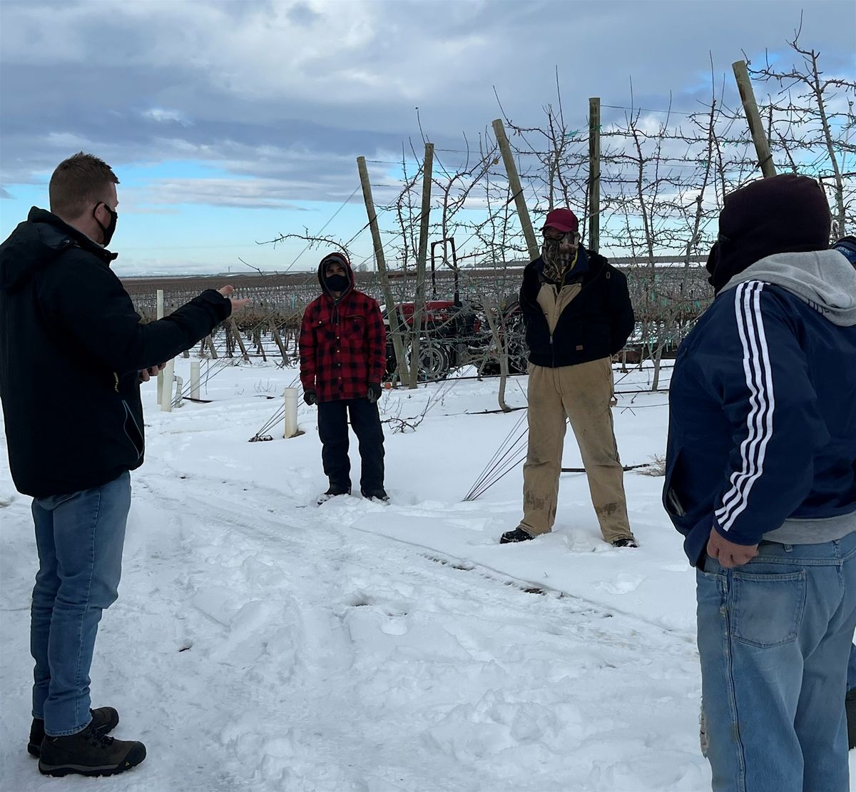 Spanish for Orchard Managers