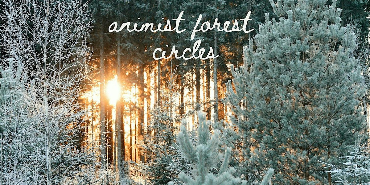 Animist Forest Circles in Rock Point | Winter
