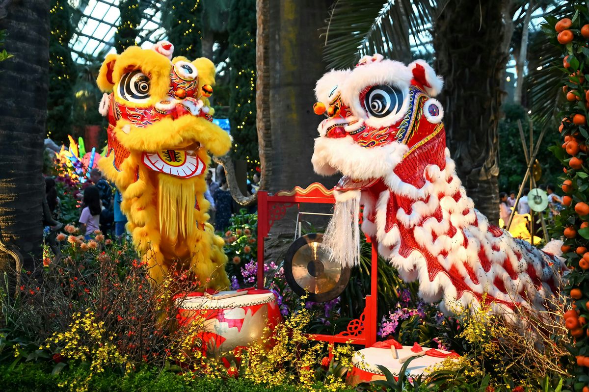 Lion Dance Exhibition