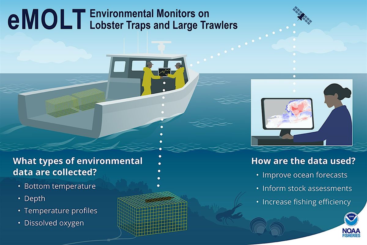 Fishing for Data: real world applications for oceanographic observations
