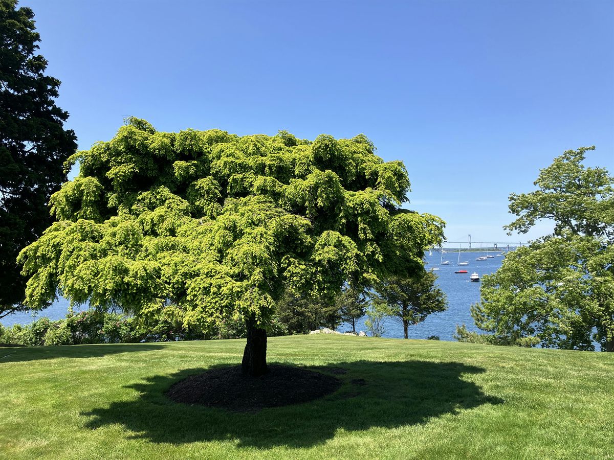 Arboretum Tour: Bonniecrest