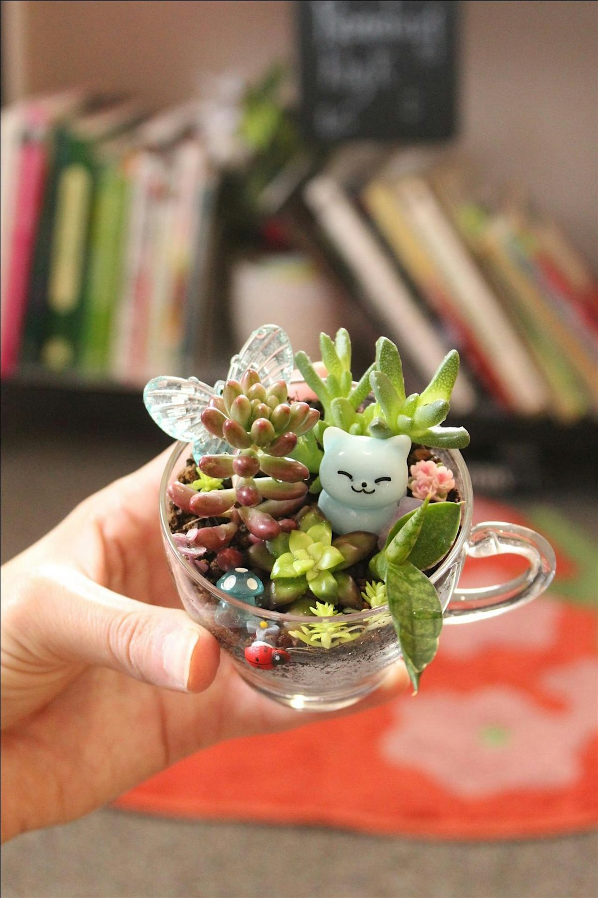 Plant Teacup Succulents or a Self-Watering Terrarium!