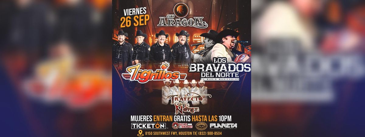 TIGRILLOS, LOS BRAVADOS DEL NORTE & MAS