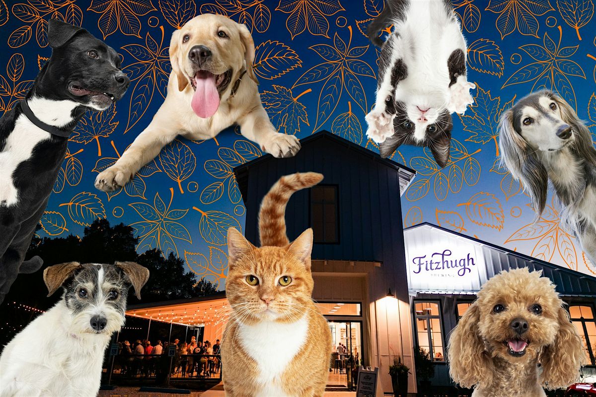 Paint your Pet\u2014 Paint and Sip Night!