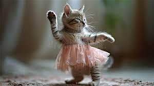 Pas De Chat Adult Ballet Class with Cats!