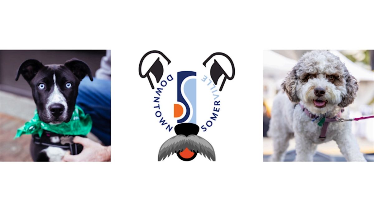 2026 Downtown Somerville Puppy Pawlooza