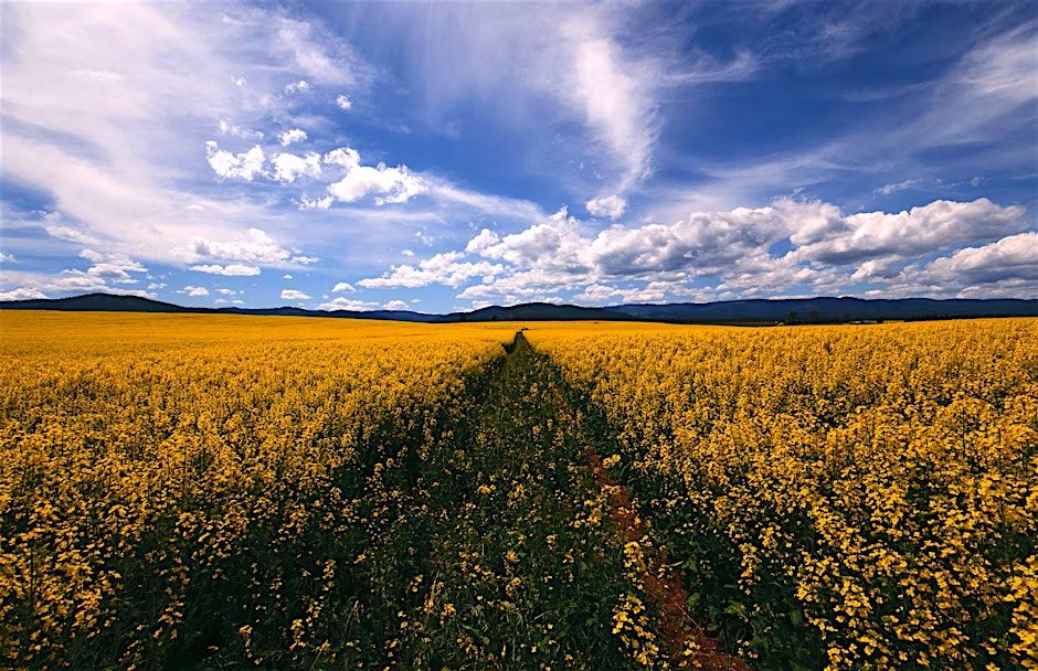 A Date Night Adventure! - Kalispell Kaper Treasure Hunt