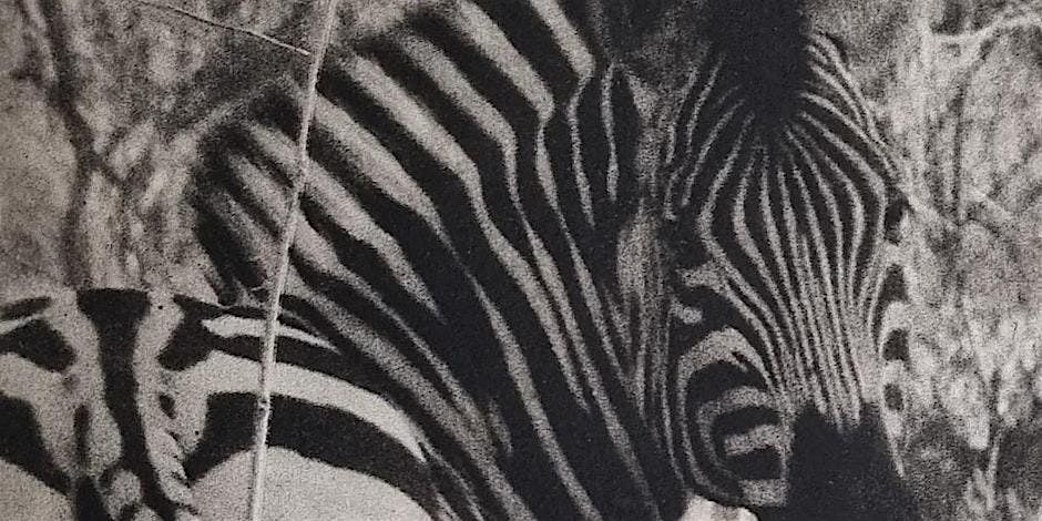 Printmaking Workshop Series - Photopolymer etching