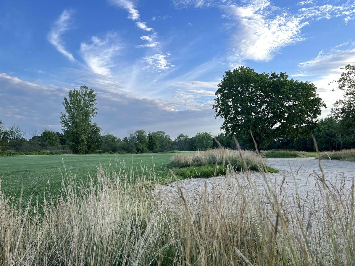 Brookmeadow's Day After Classic