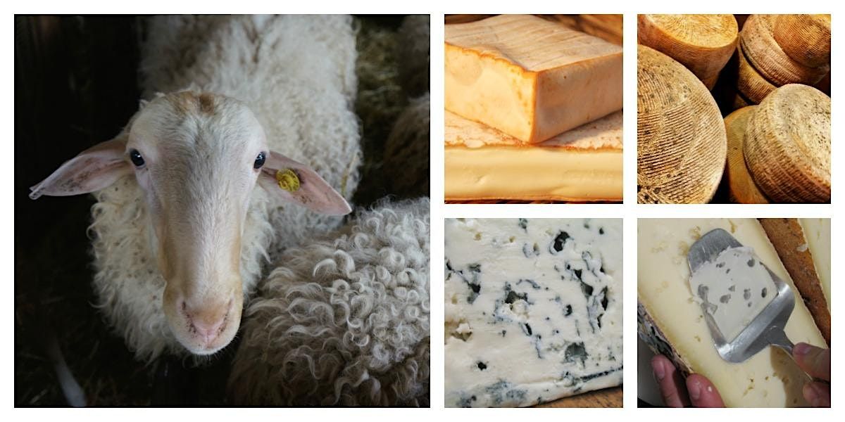 Classic Series: Feeling Sheepish? Pecorino, Brebis and More!\u2014$75
