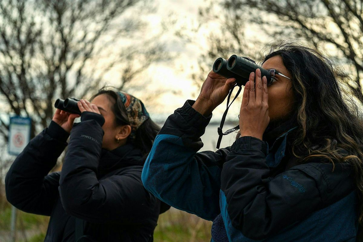 Winter Birding Adventure at Tommy Thompson Park
