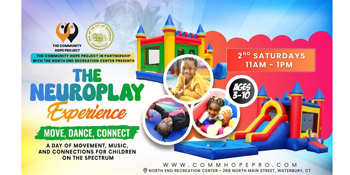 The Neuroplay Experience - January