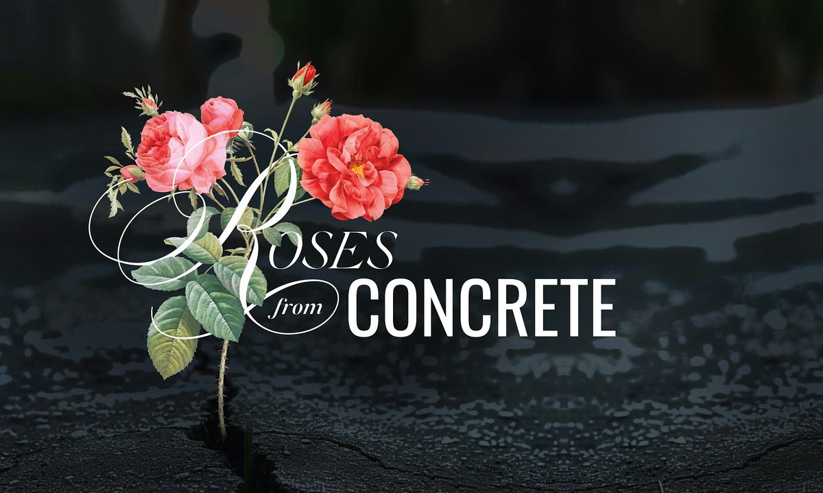 Roses From Conrete Gala