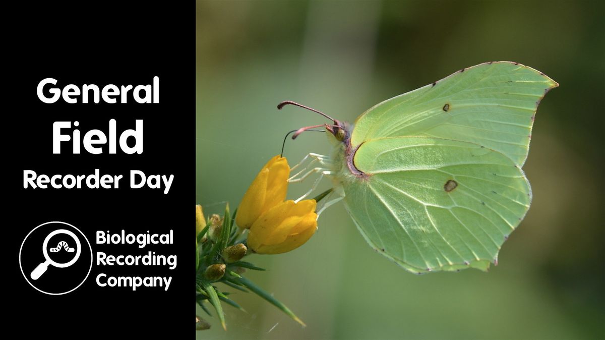 General Field Recorder Day