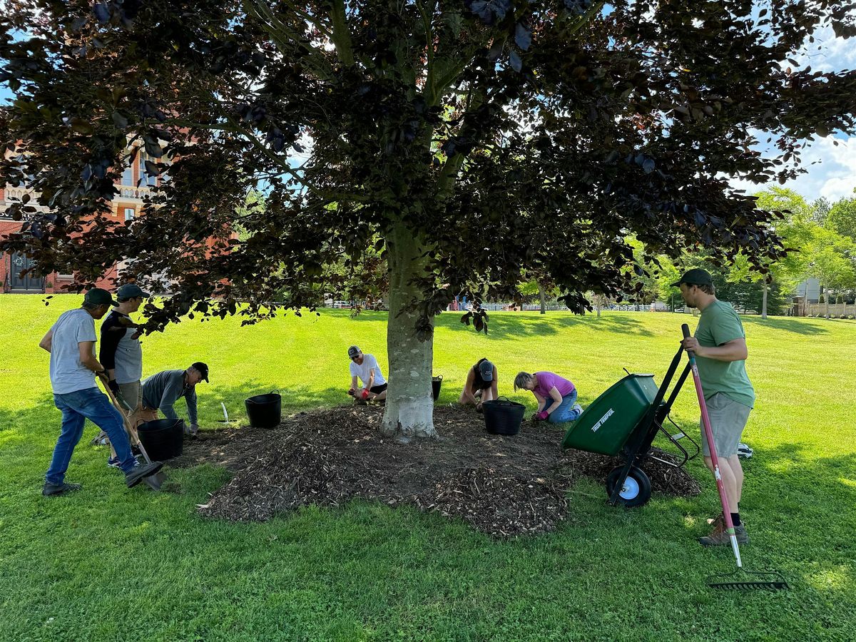 Tree Corps: Vernon Park
