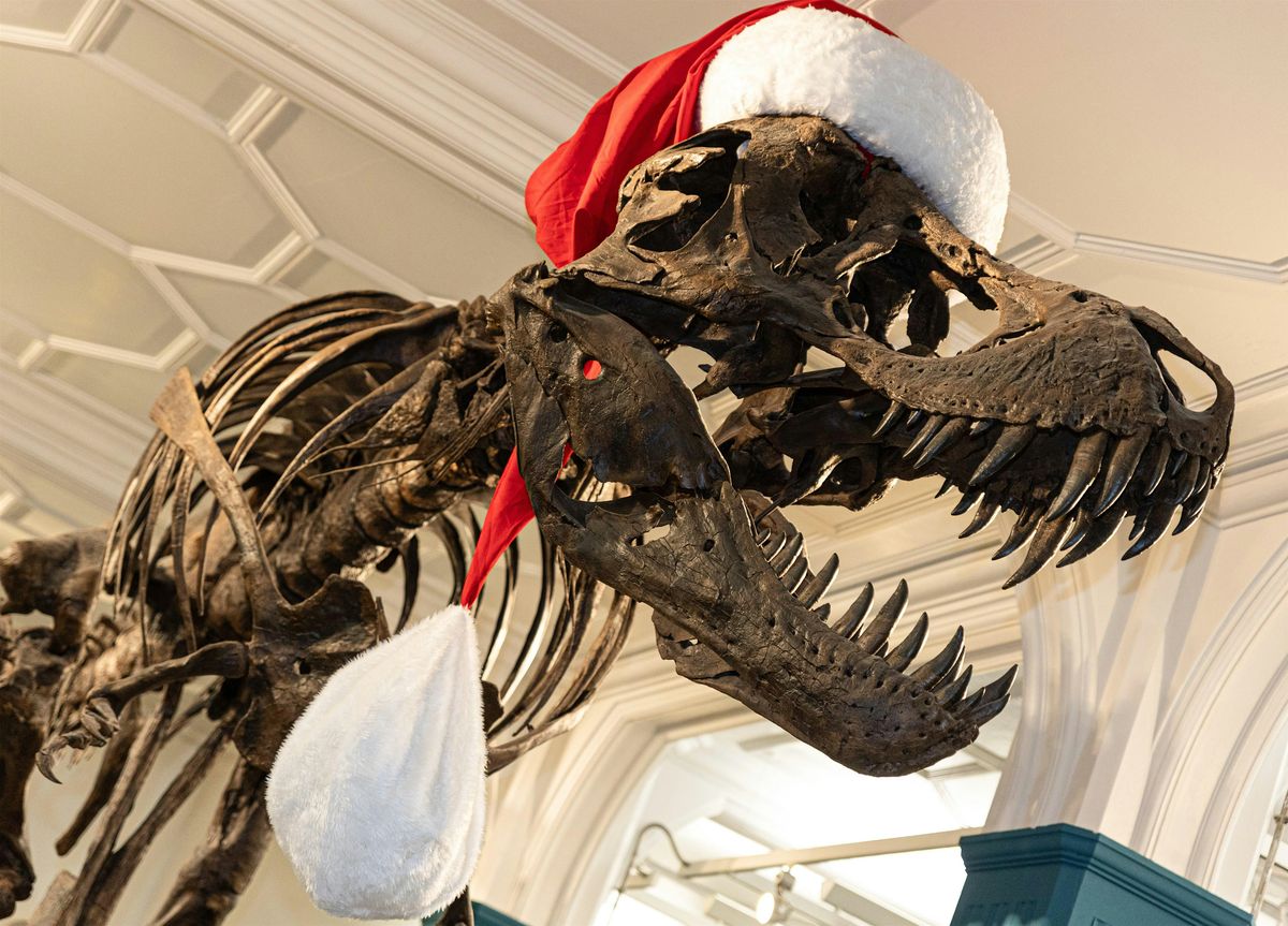 Stan's Secret Santa...Wellbeing Wednesday, Sing-a-Long!