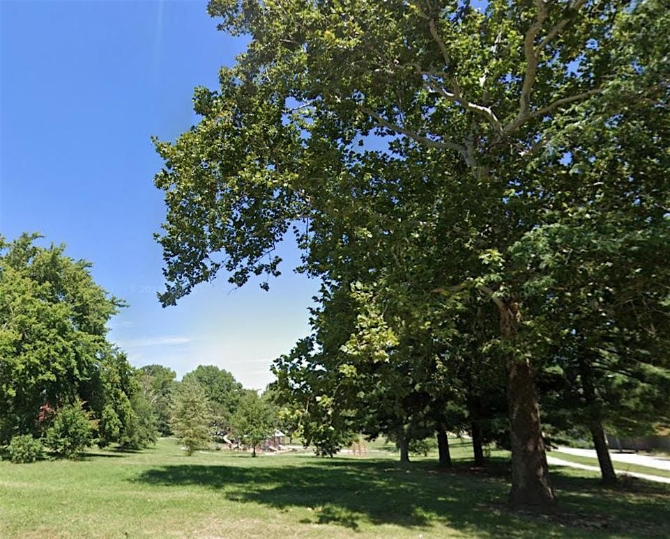 St. Louis Place Tree Blitz