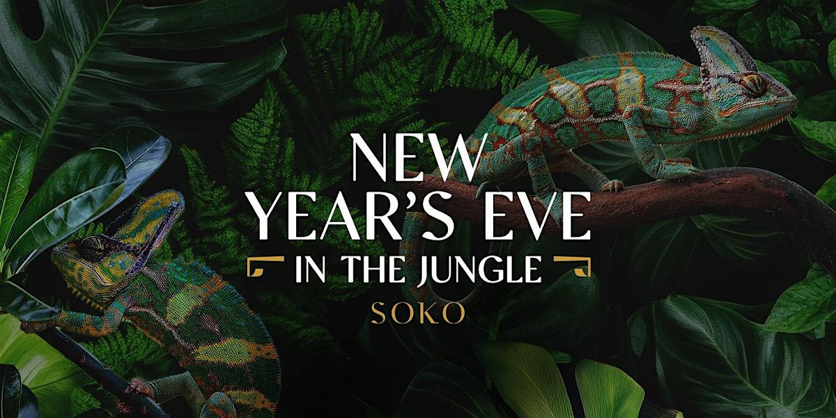 NEW YEAR\u2019S EVE In The Jungle