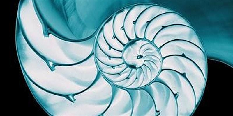 Sacred Geometry Level 1