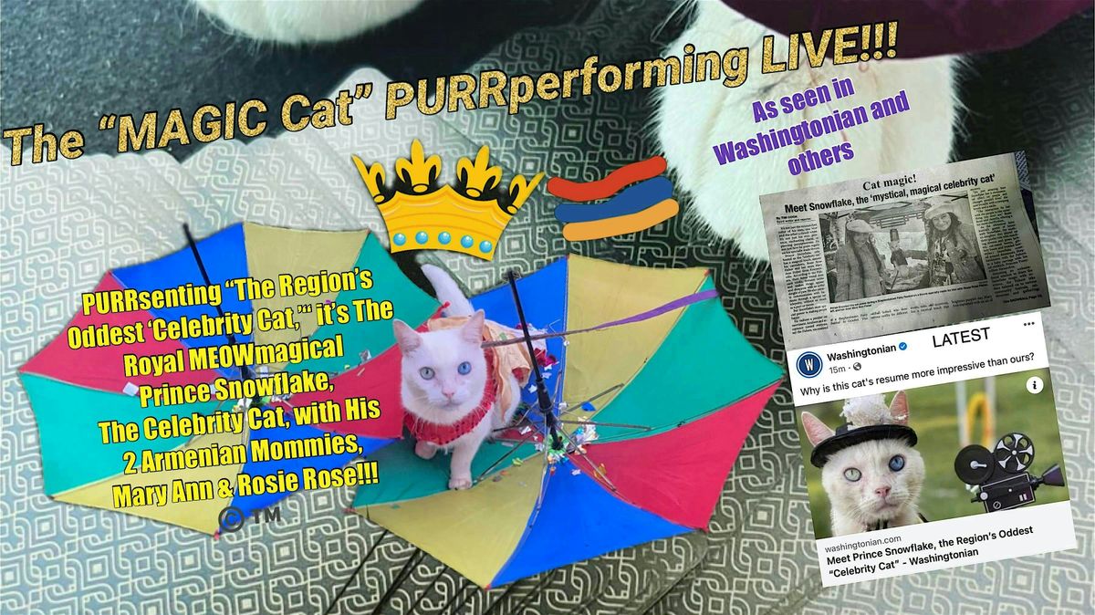 Prince Snowflake, The Celebrity Cat, Springtime PURRtacular Show 2025 ...
