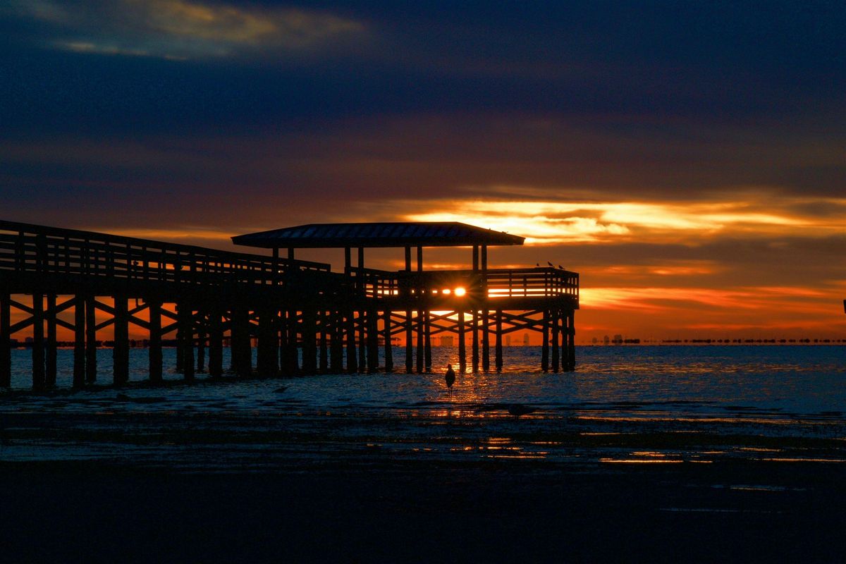 Adventurous Scavenger Hunt! - Safety Harbor's Treasures