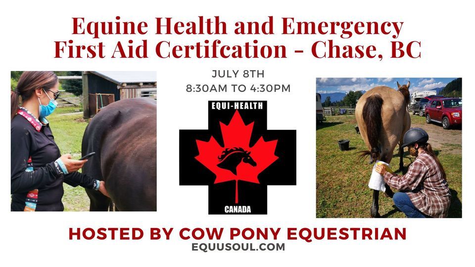 Equine Health and Emergency First Aid Chase, BC Cow Pony Equestrian, Sicamous, BC July 8, 2023