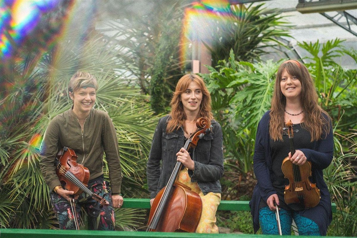 Cambridge Jazz Festival at Hot Numbers: J.A.M. String Collective