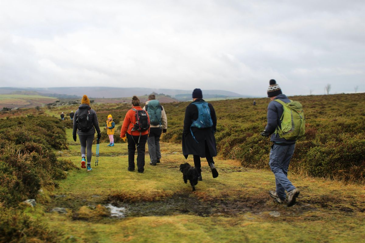 Green Walks (29\/11\/2025) - Daniel\u2019s Brook to the Roastery Loop