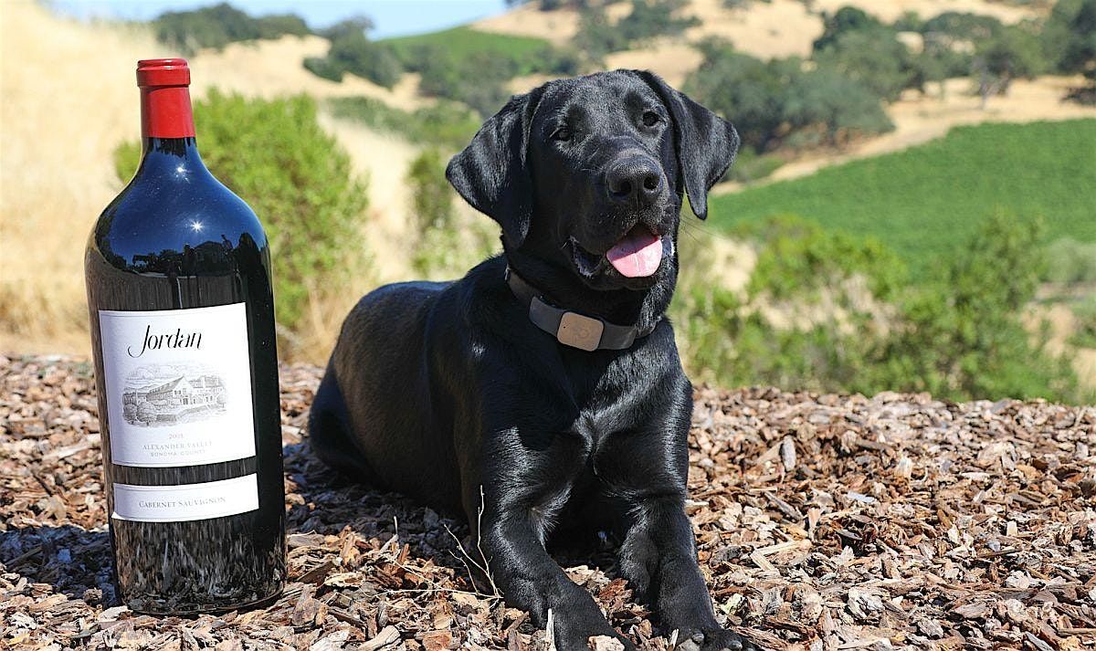 Wags and Wine