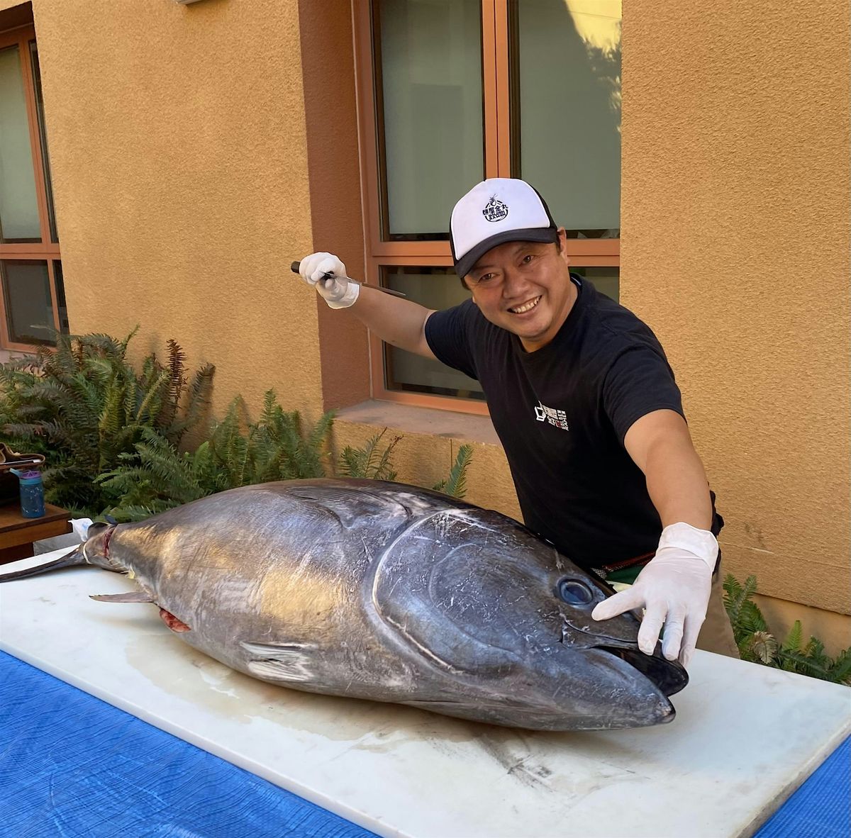 Live Bluefin Tuna Cutting Show and Sushi