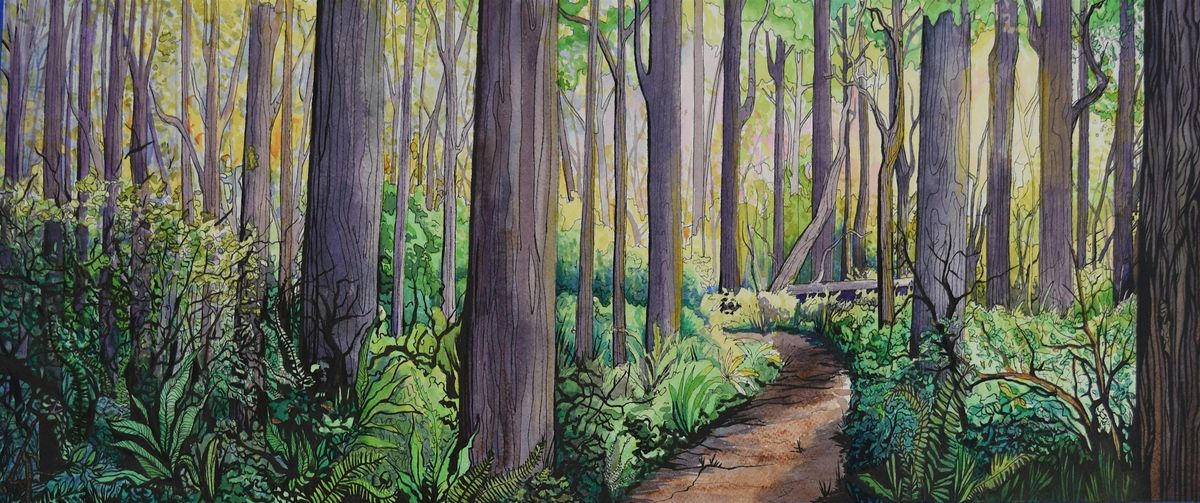 WATERCOLOR & INK STUDIO for advanced students w\/ Instructor Hannah Complin