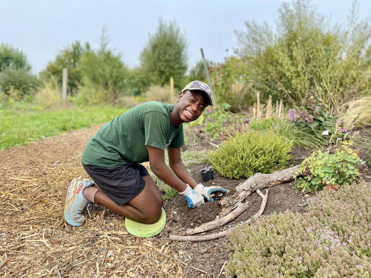 Volunteer at 21 Acres: Farm Stewardship