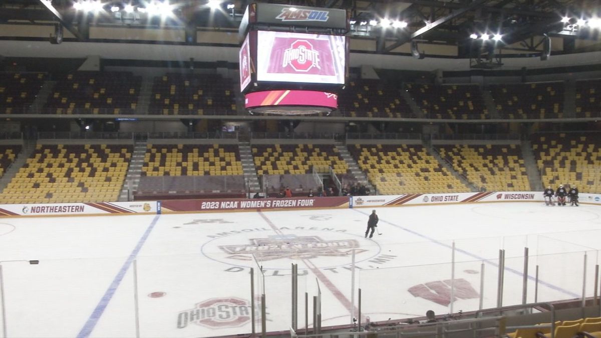 Minnesota Duluth Bulldogs Women's Hockey vs. Wisconsin Badgers