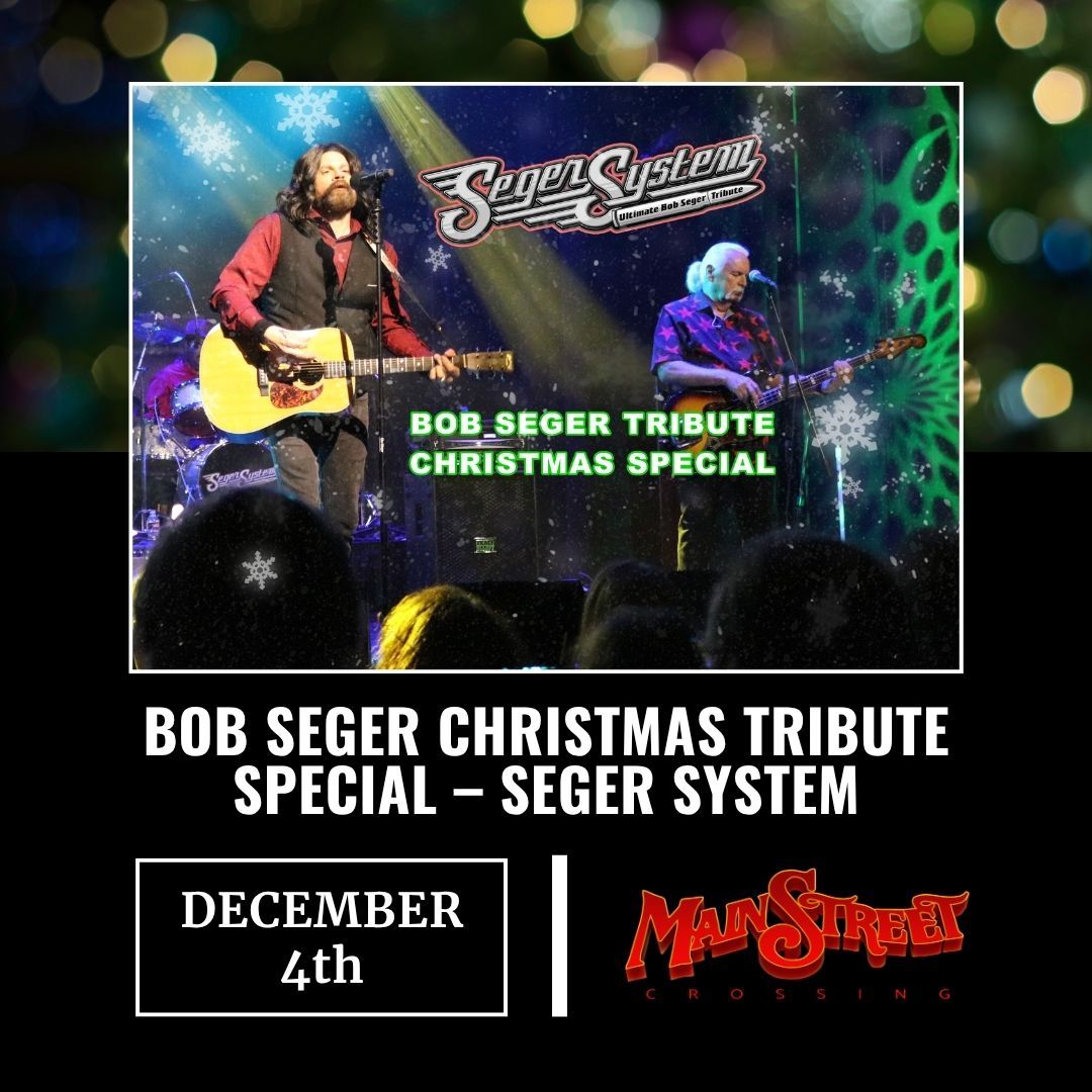 Seger System - Bob Seger Tribute
