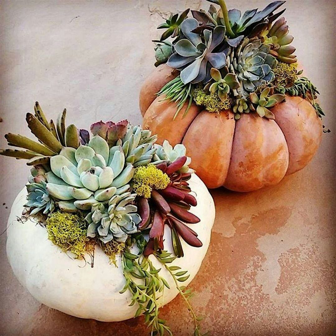 2nd Annual "Great Pumpkin Centerpiece Party"