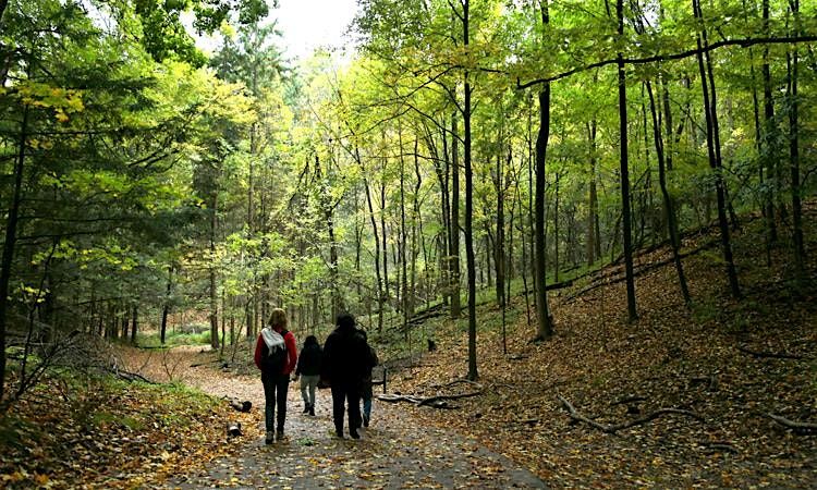 Urban Ravine Summit: Connecting People, Place & Purpose