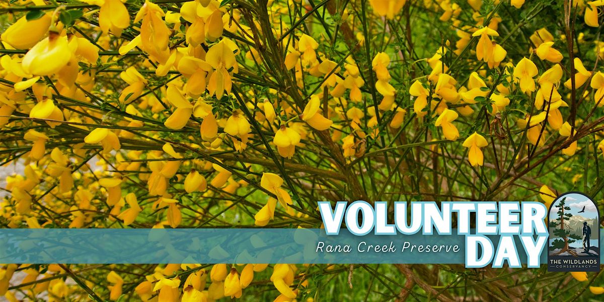 Volunteer Day: Invasive Plant Removal - Rana Creek Preserve