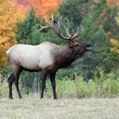 Elk Country Visitor Center