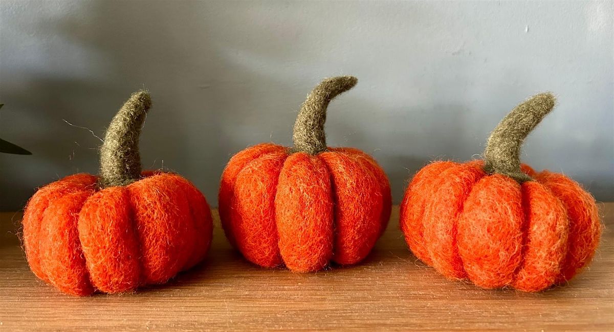 Needle Felting Workshop at Crosspool Social