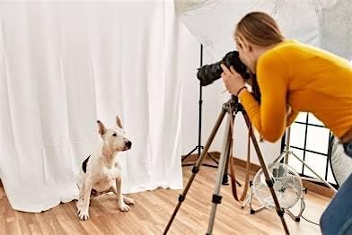 Lights, Camera, Content! Realtor-Only Edition