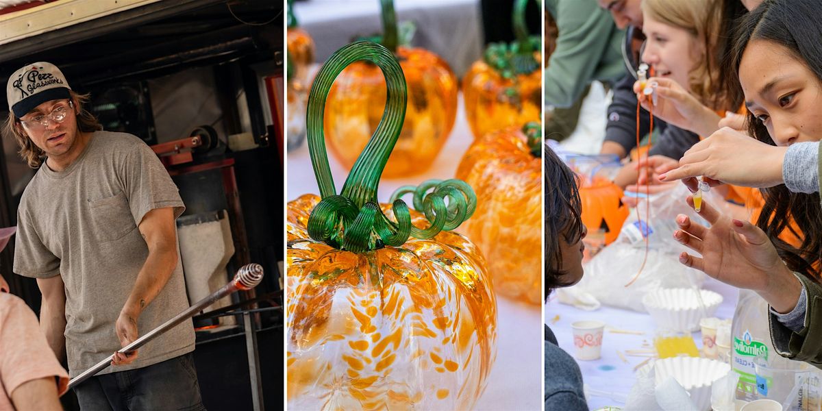 Pumpkin Palooza!