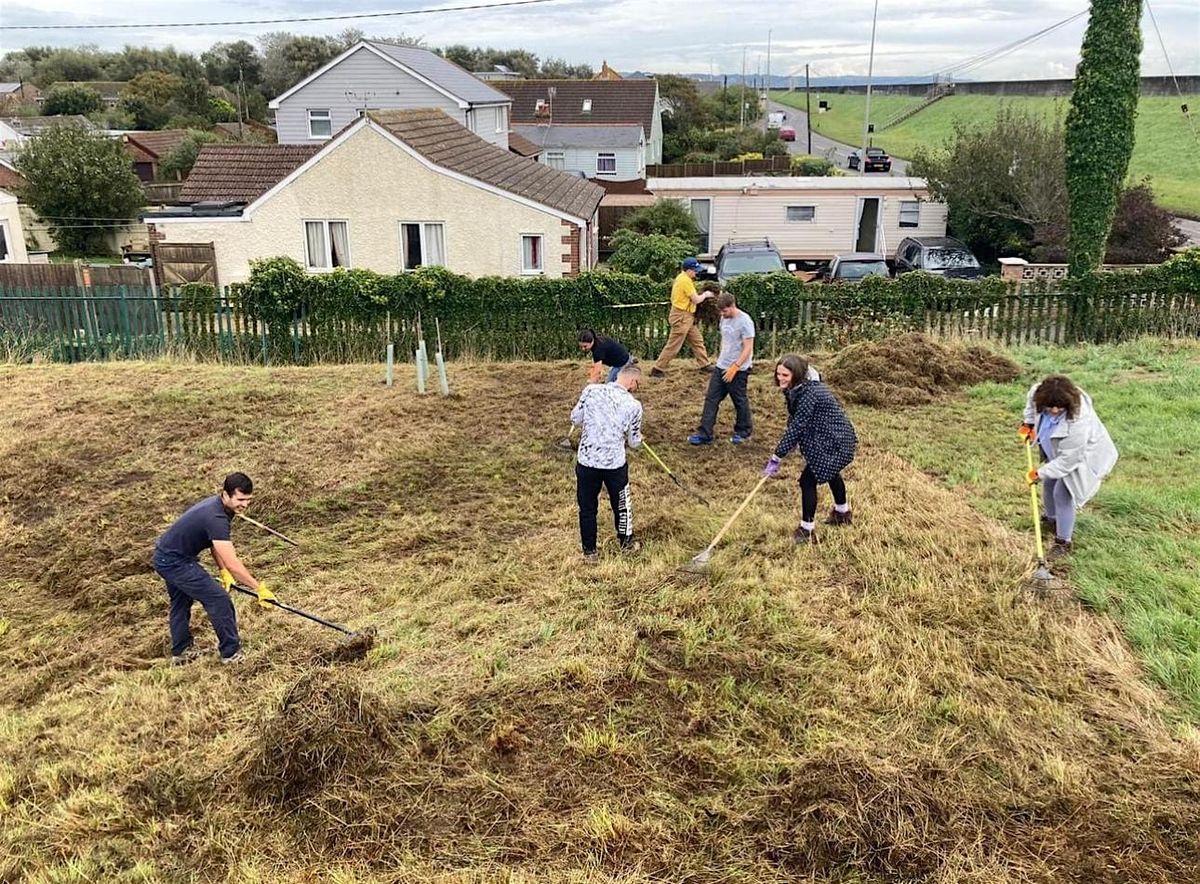Buzzing in the East End: Habitat Work Party at Braeburn Park