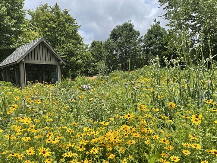 Flutterby Festival The Village Arboretum, Pinehurst, NC September 25, 2021