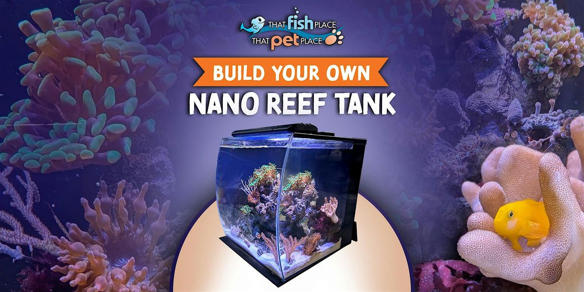 Build Your Own Reef Nano Tank