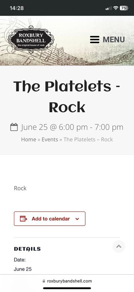 The Platelets and Stone Bridge Blues Band Rock The Roxbury Bandshell