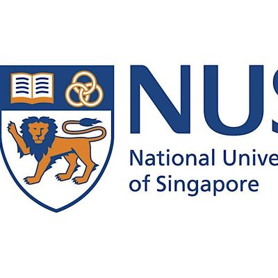 NUS ISS