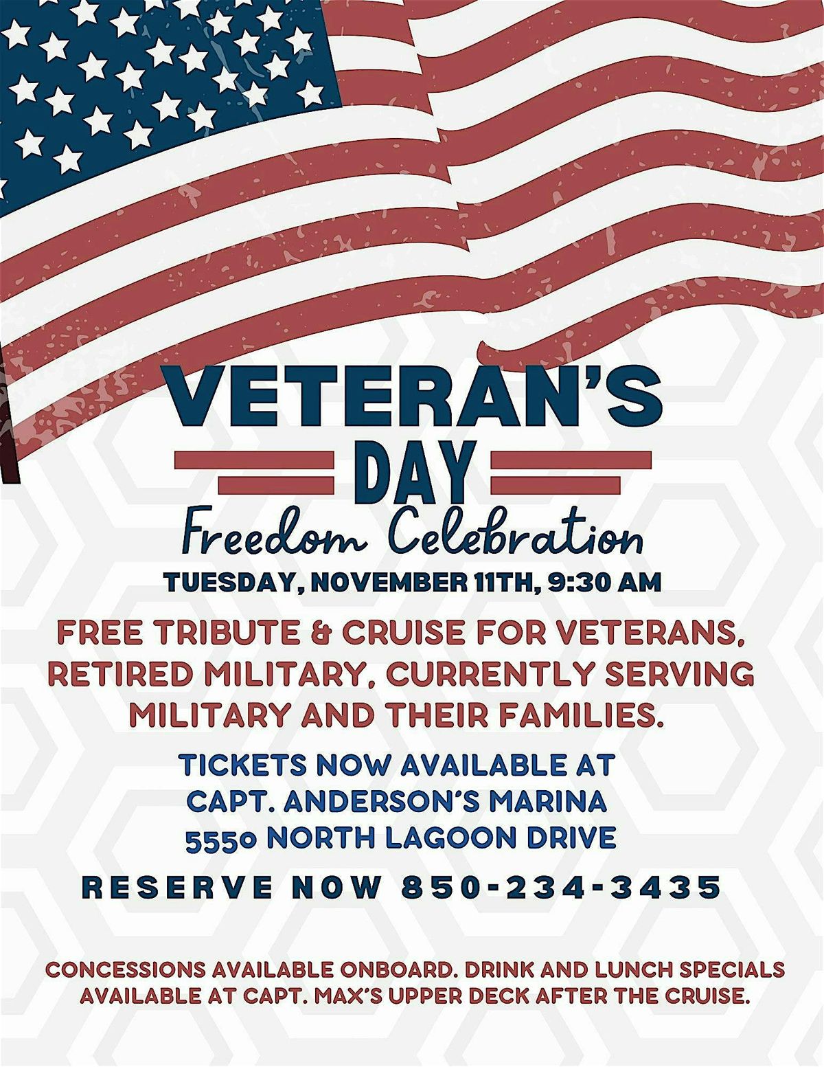 Annual Veteran's Day Freedom Celebration
